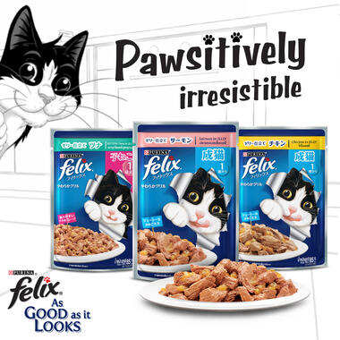 As good as it looks cat food best sale